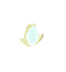 Leknn.gif - pesmruje o rove nahoru